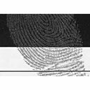 BVDA Magnetic Powder