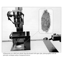 Versa Light Box (Coaxial)