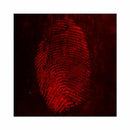 Safranin O/Basic Red 2 Powder, 20 gram