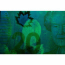 Sciluminate Fingerprint Powder - Latent Forensics