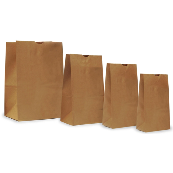 Plain Kraft Paper Bag (pack of 50)