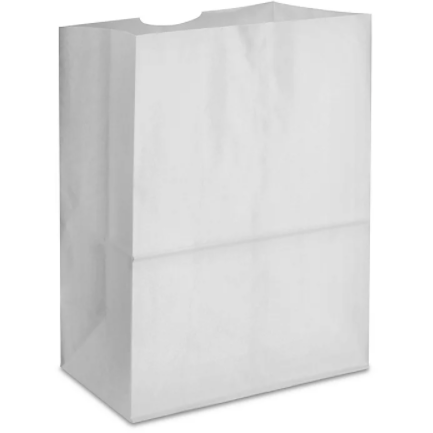 Plain Kraft Paper Bag (pack of 50)