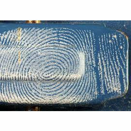 BVDA Fingerprint Powder