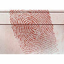 BVDA Magnetic Powder