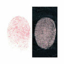 Silver/Red Fingerprint Powder