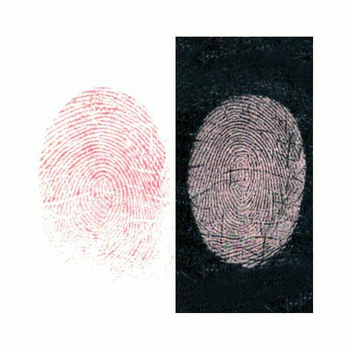Silver/Red Fingerprint Powder
