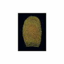 ORANGECHARGE Poudre magnétique fluorescente 16 oz