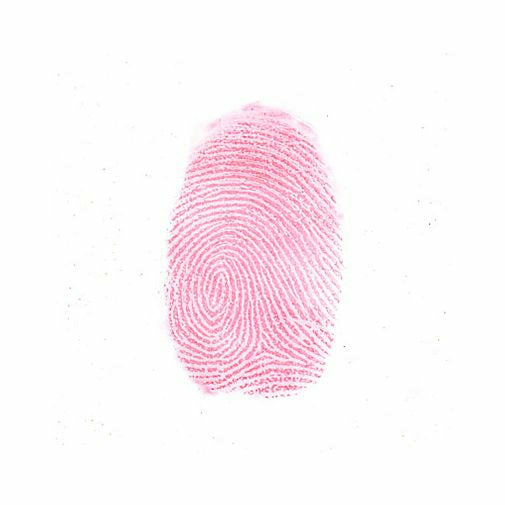 Regular Brilliant Red Fingerprint Powder