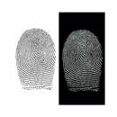 Silver/Black Magnetic Fingerprint Powder-1oz