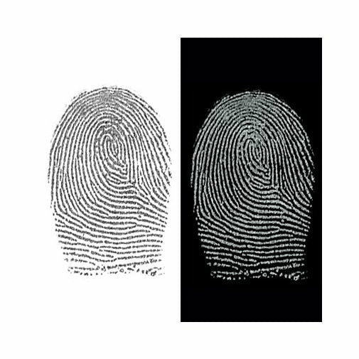 Silver/Black Magnetic Fingerprint Powder-1oz