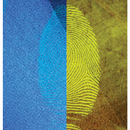 Blitz Magnetic Fluorescent Powder, 1 oz