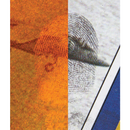 BLACK RUBY™ MAGNETIC FINGERPRINT POWDER, 1 OZ