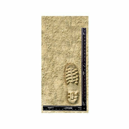 Scale Evidence Forensics Photo Evidence Folding Scale