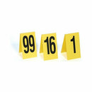 Plastic Photo Numbers (16-50)