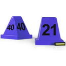 Evidence Marking Cones