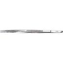 Stainless Steel Forceps