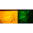 Narrow Bandpass Filter (560-10 OD4) (62 mm)