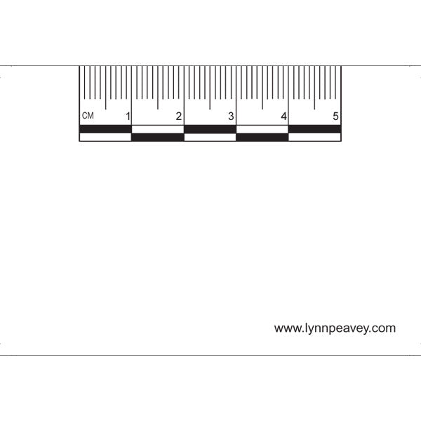 2”/5 cm Ruler Pads