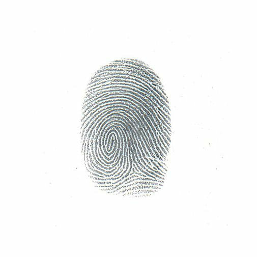 Sirchie Silk Fingerprint Power