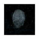 Indestructible White Magnetic Fingerprint Powder
